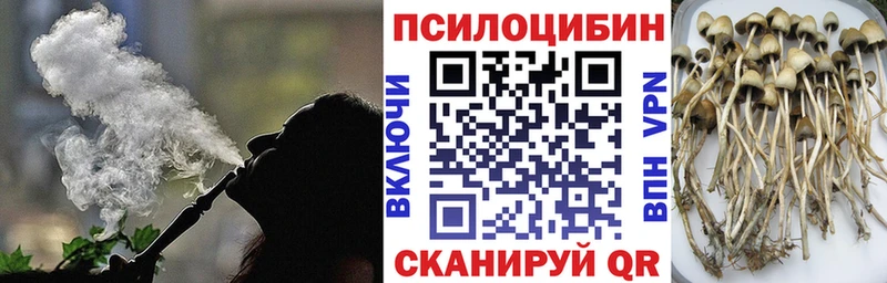 Купить закладки  Белебей  Галлюциногенные грибы Psilocybine cubensis 