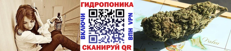 Шишки марихуана сатива  Купить закладки  Белебей 